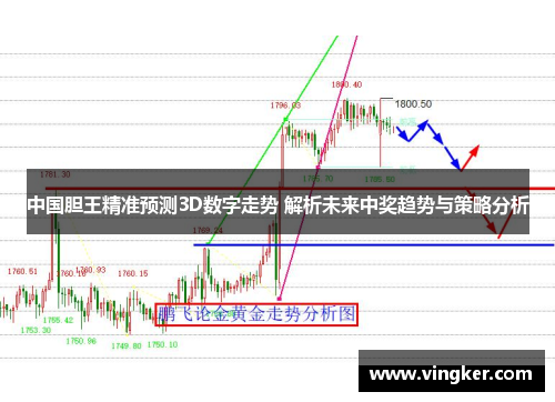 中国胆王精准预测3D数字走势 解析未来中奖趋势与策略分析